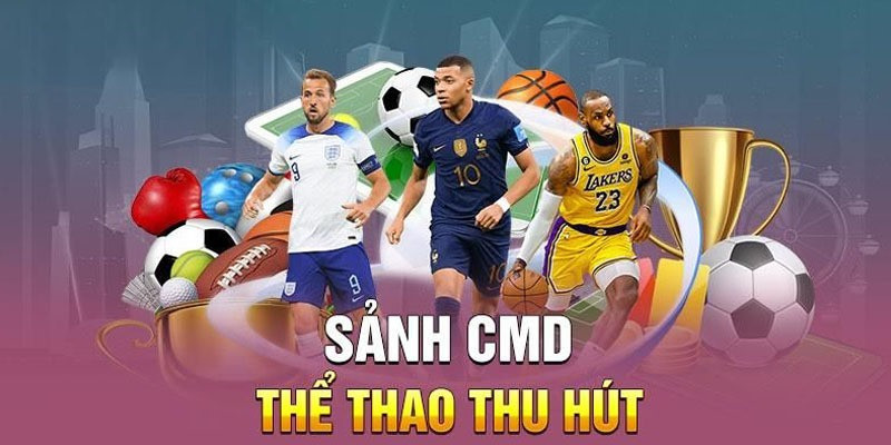 Sảnh thể thao CMD và chặng đường phát triển
